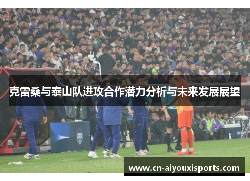 克雷桑与泰山队进攻合作潜力分析与未来发展展望