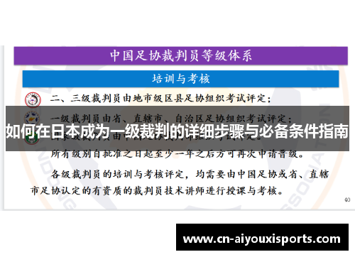 如何在日本成为一级裁判的详细步骤与必备条件指南