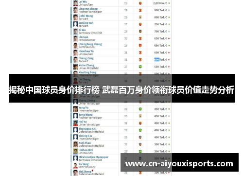 揭秘中国球员身价排行榜 武磊百万身价领衔球员价值走势分析
