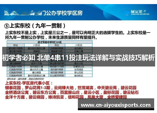 初学者必知 北单4串11投注玩法详解与实战技巧解析